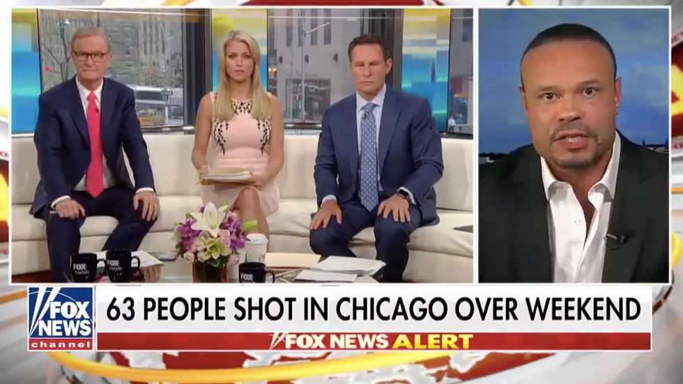 Bongino: President Trump should ‘get involved’ in Chicago gang crisis