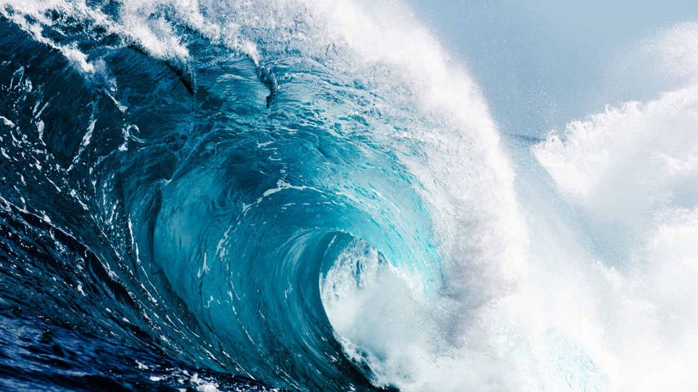 CNBC poll says not to expect that big blue wave