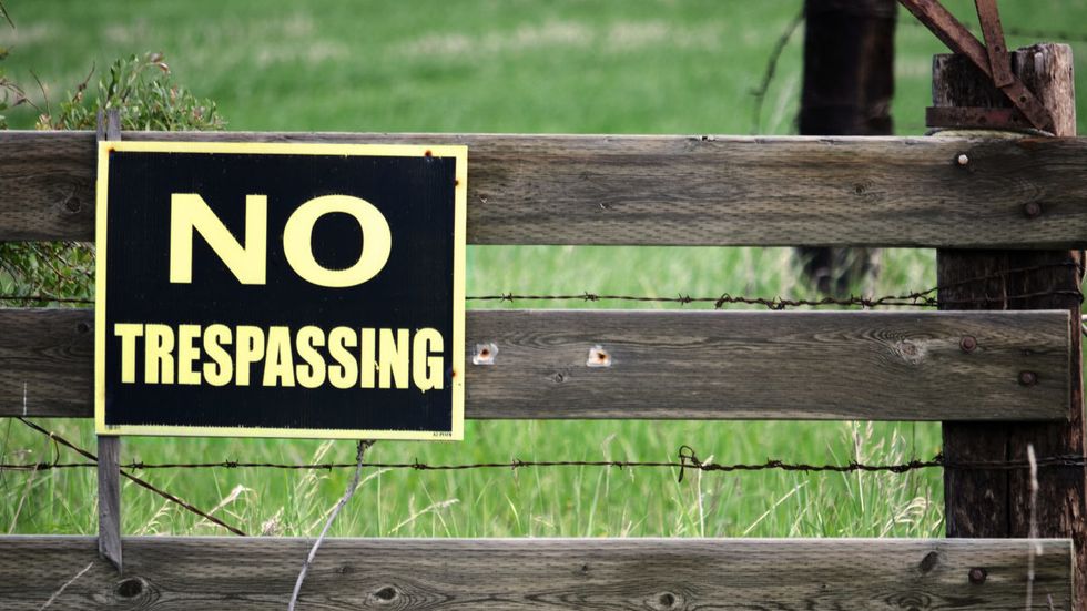 The best way to heal America is to remember how to leave each other alone