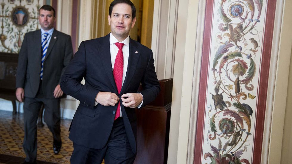 Marco Rubio calls out Democrats for hiding anti-Israel support for BDS under cover of government shutdown