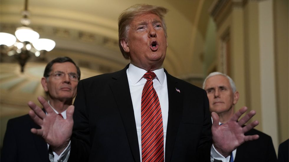 Levin: 'We have a fighter in the White House'