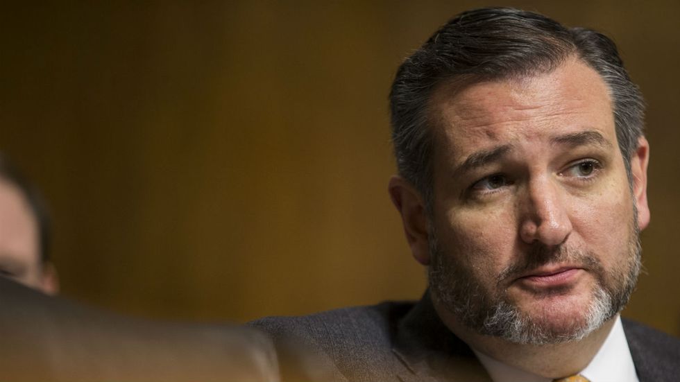 Ted Cruz shuts down Dem senator’s anti-wall tirade