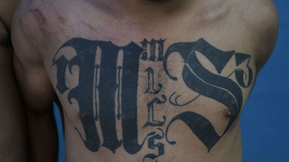 More ‘refugee’ teens caught in MS-13 sting