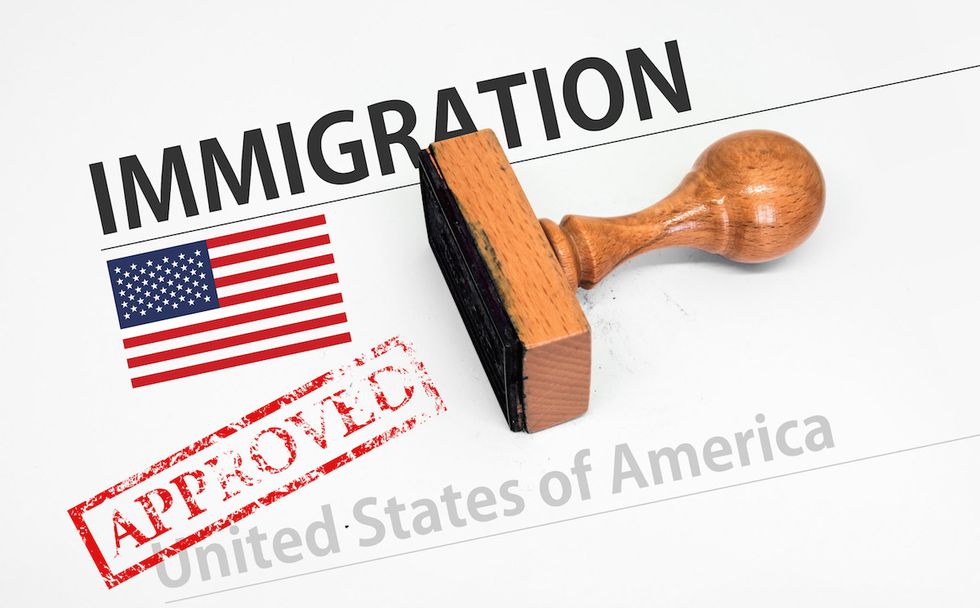 Amnesty invasion: Over 750K work permits handed out to largely bogus asylum applicants