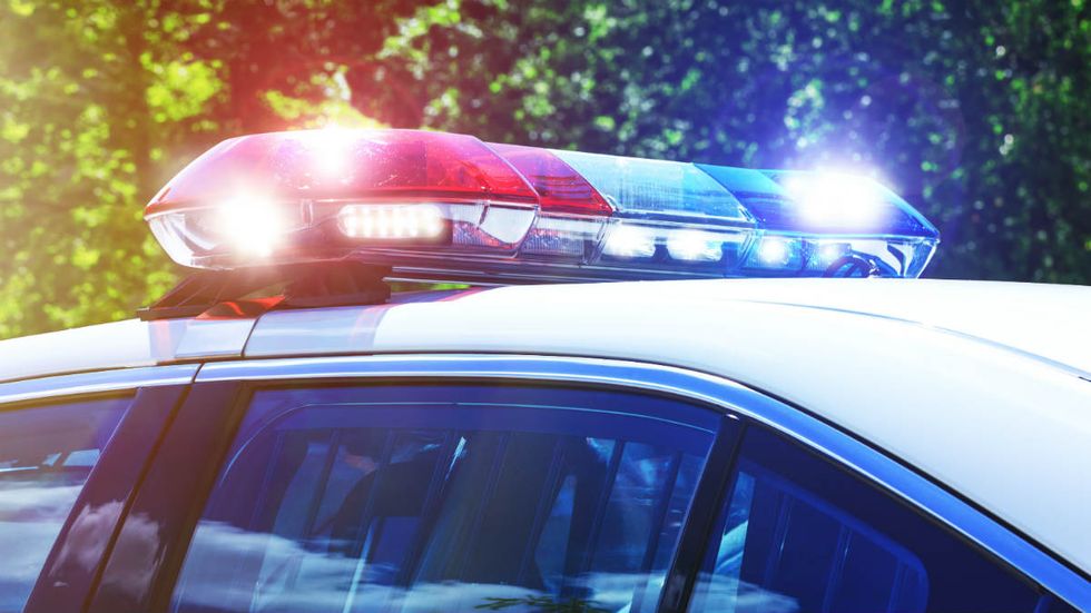 Horowitz: As cops arrest moms at playgrounds in Idaho, burglaries surge in New York