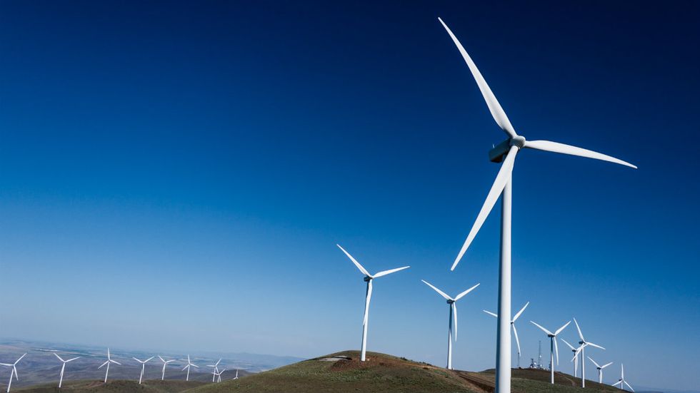 ‘Profound scientist’ Bernie Sanders and torturous wind turbines