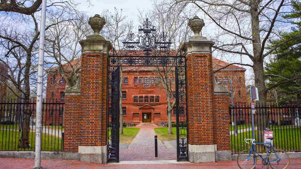 Malkin: Harvard's insatiable identity-politics cannibals
