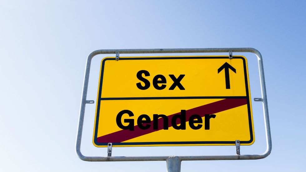 Video: ‘Lifelong Democrat and proud feminist’ joins conservatives to oppose House Dems’ transgender bill