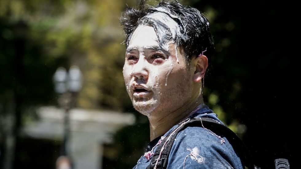 Oregon Democrat senator was busy tweeting about cats while Portland Antifa beat a gay journalist bloody