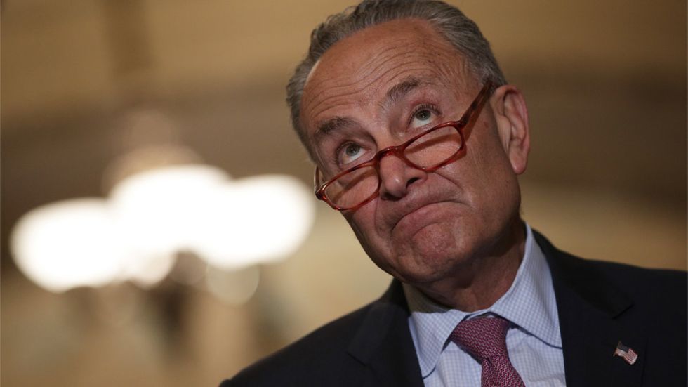 Levin: 'I'm calling on Chuck Schumer to resign'