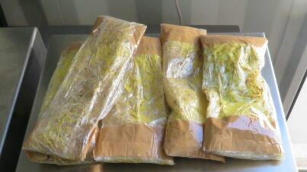 Border Patrol drug dog catches 'almost two pounds' of fentanyl pills hidden in Mexican woman's underwear