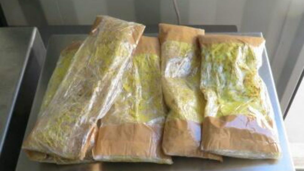 Border Patrol drug dog catches 'almost two pounds' of fentanyl pills hidden in Mexican woman's underwear