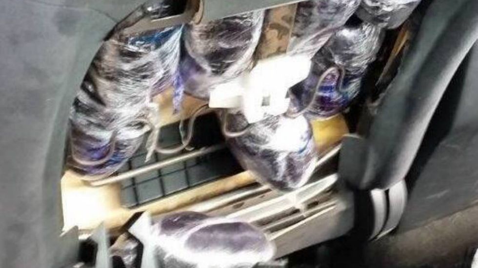 Drug dog helps immigration officers catch 13 lbs of fentanyl in car at border port, CBP says