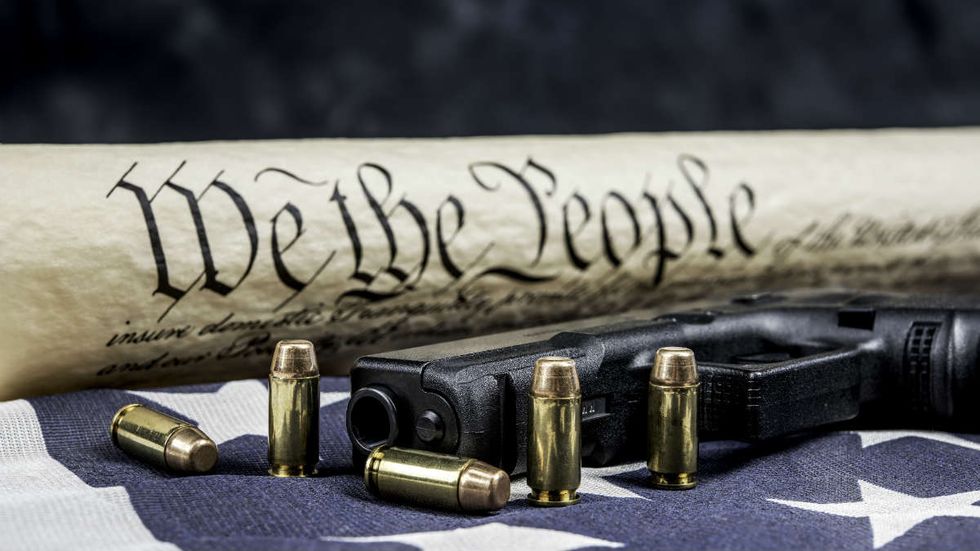 Levin explains exactly what Second Amendment sanctuaries are for: 'We're not giving up our guns. That's not happening'