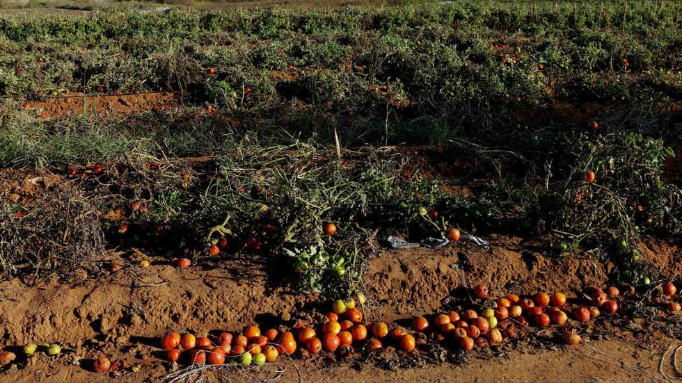 When you're in a hole, stop digging: Bringing in more immigrant ag workers is not in our national interests
