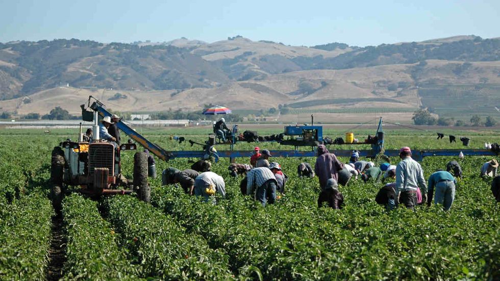 Critics: House farm worker amnesty bill is like indentured servitude
