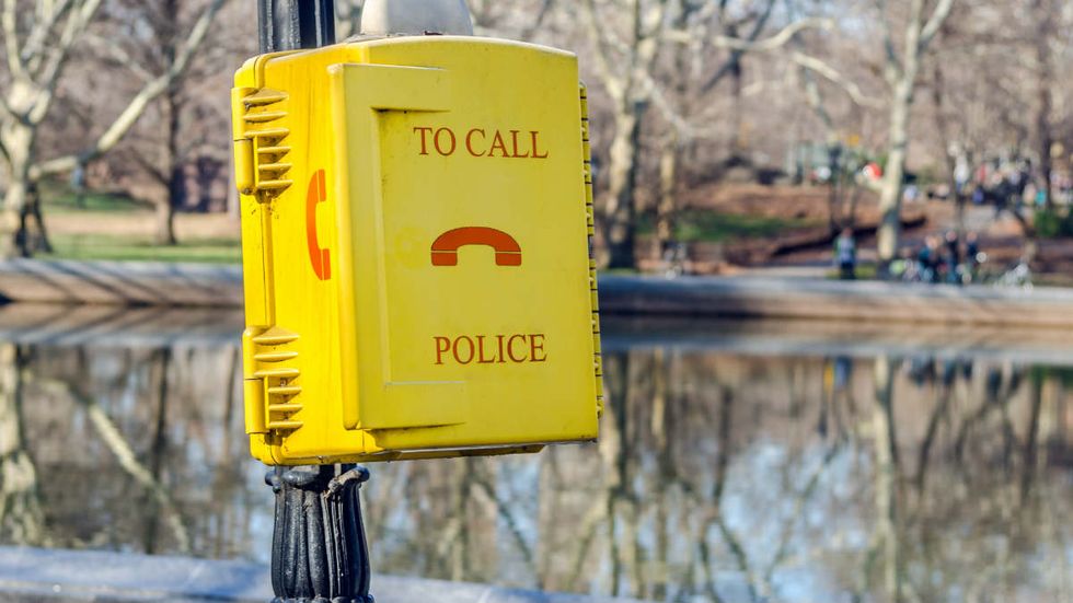 Back to the pre-Giuliani era: Serious crime up 31% in NYC’s Central Park this year