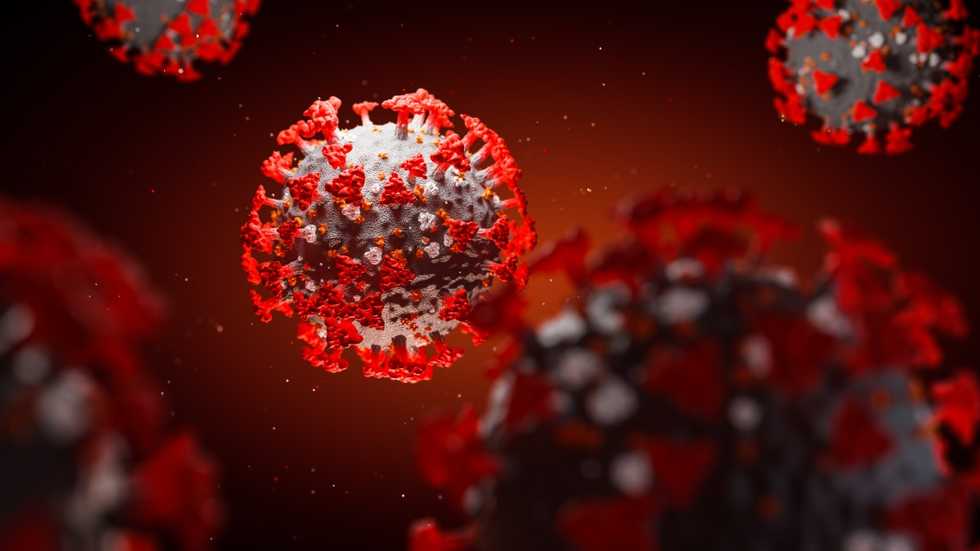 Horowitz: The case for herd immunity and opening schools