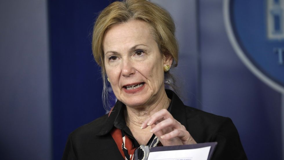 Horowitz: Dr. Birx: 'We’ve taken a very liberal approach to mortality'
