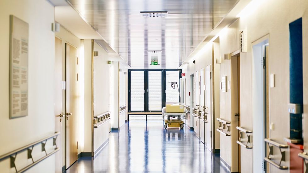 Horowitz: Shutdown, not coronavirus, is causing loss of medical personnel