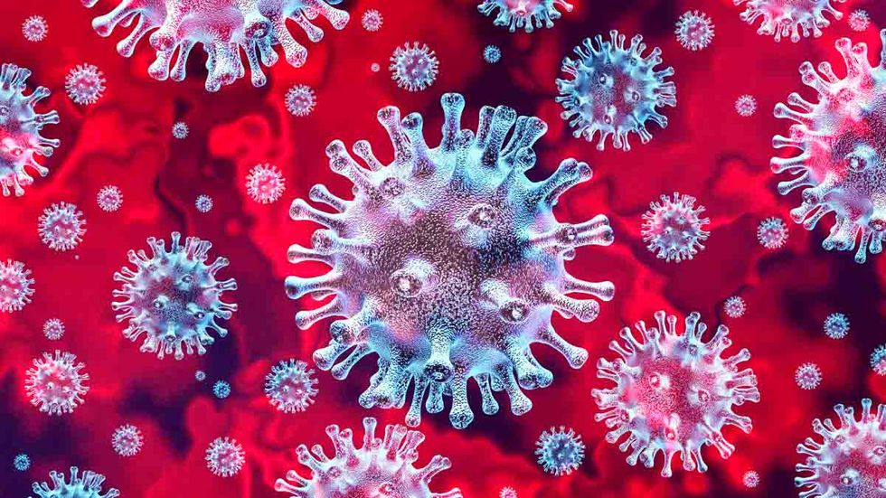 Horowitz: New antibody study is strong evidence that the lockdown strategy is the wrong course