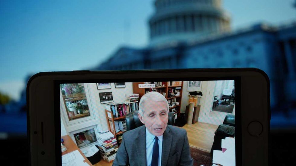 Horowitz: As Europe opens schools, nanny Fauci pushing school shutdown possibly into fall