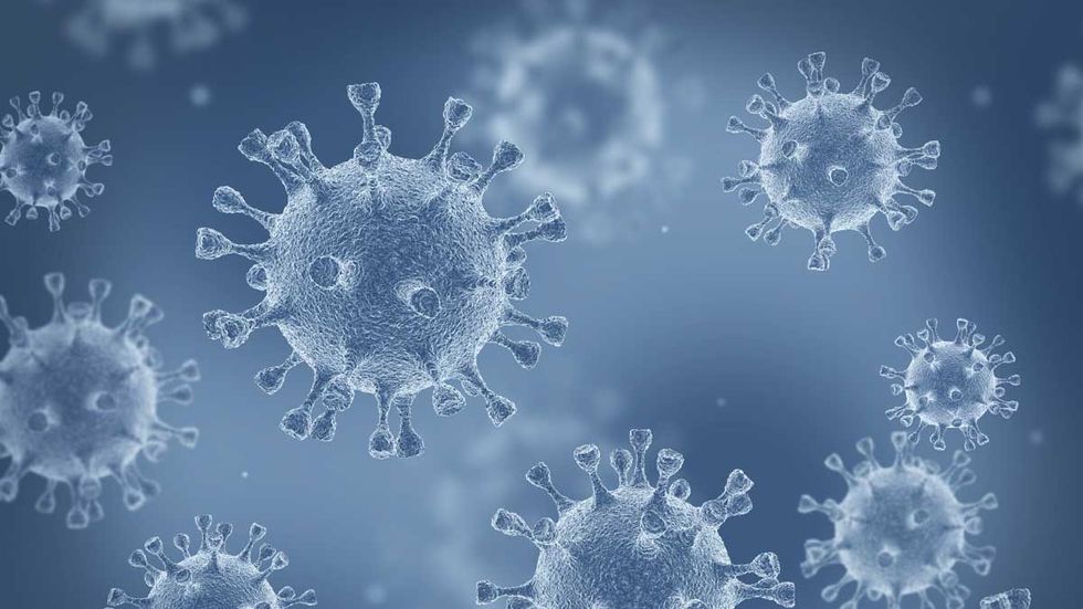 Horowitz: Lockdowns missed the boat: More likely coronavirus cases in US as early as December