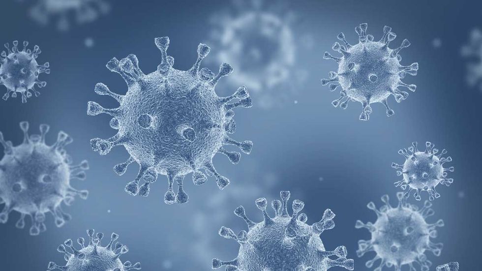 Horowitz: Lockdowns missed the boat: More likely coronavirus cases in US as early as December