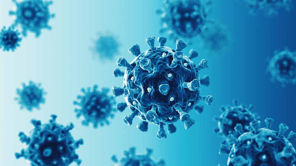 Horowitz: Lockdown of children is harming immune systems and our best shot at herd immunity