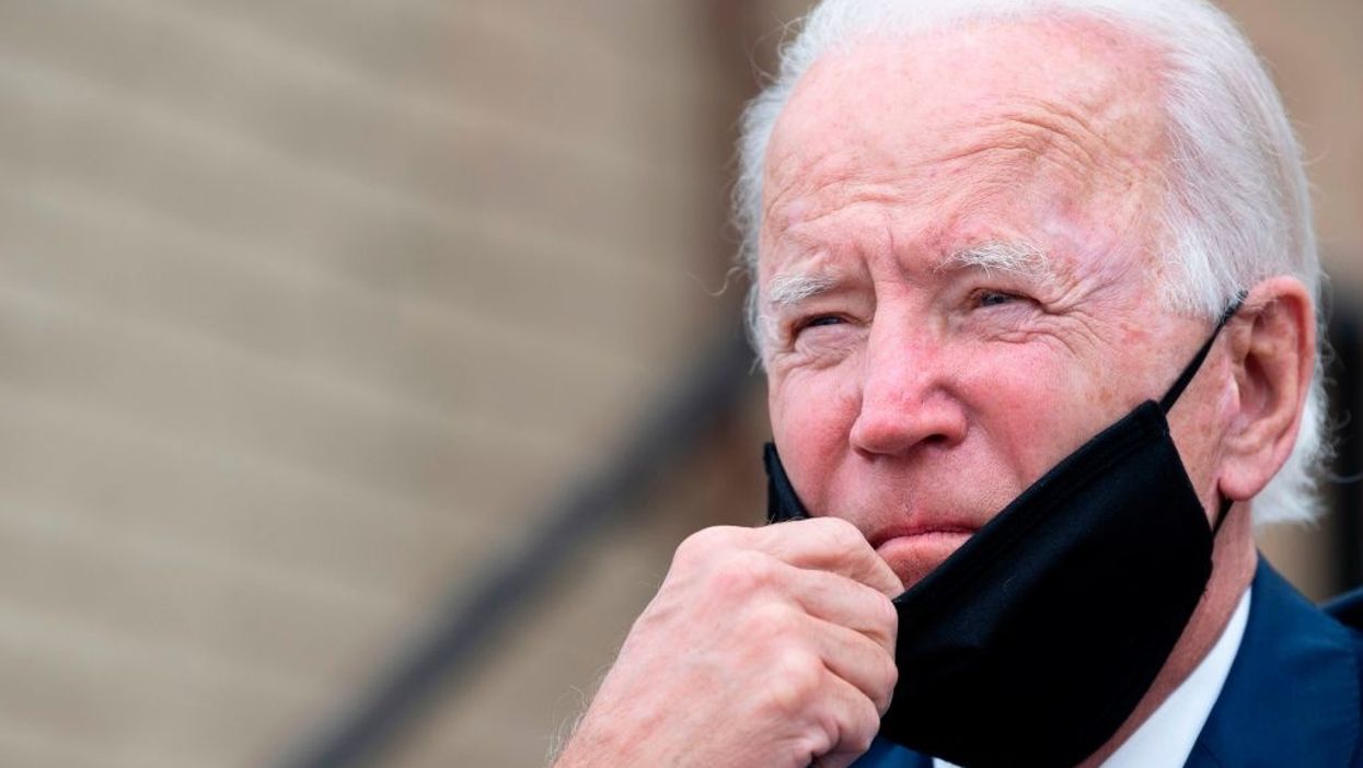20% of Democratic voters think Joe Biden has dementia — and he's still up by 9 points