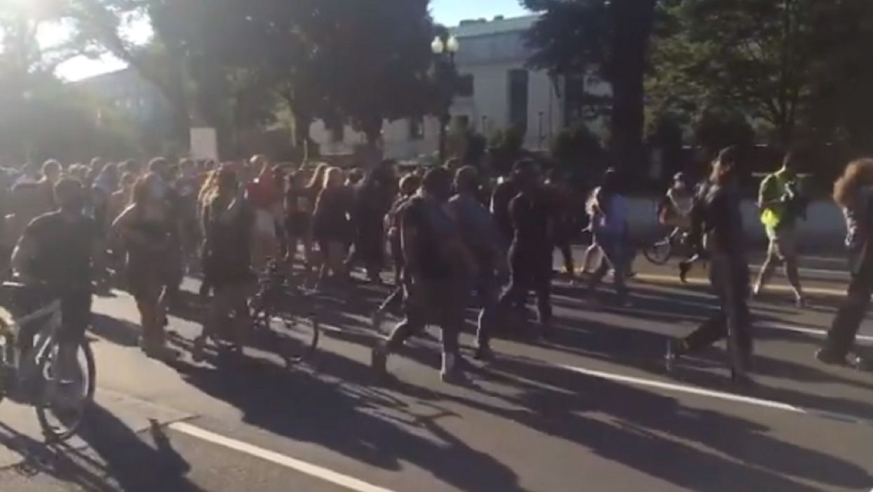 Black Lives Matter protesters chant in DC: 'Israel we know you, you murder children too'