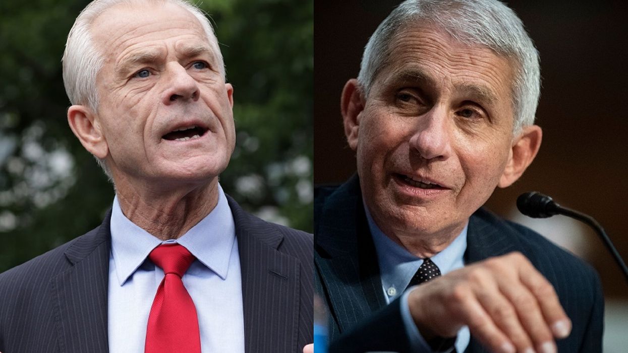 White House trade adviser Peter Navarro pens scathing op-ed blasting colleague Dr. Fauci