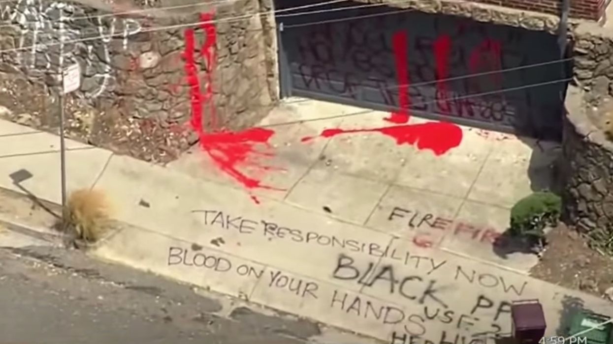 Black Lives Matter protesters vandalize Oakland mayor's home; she accuses them of terrorism