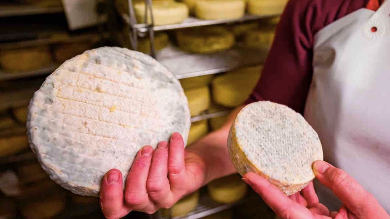 Cheese brand is getting a new name to help 'eliminate racism in all its forms'