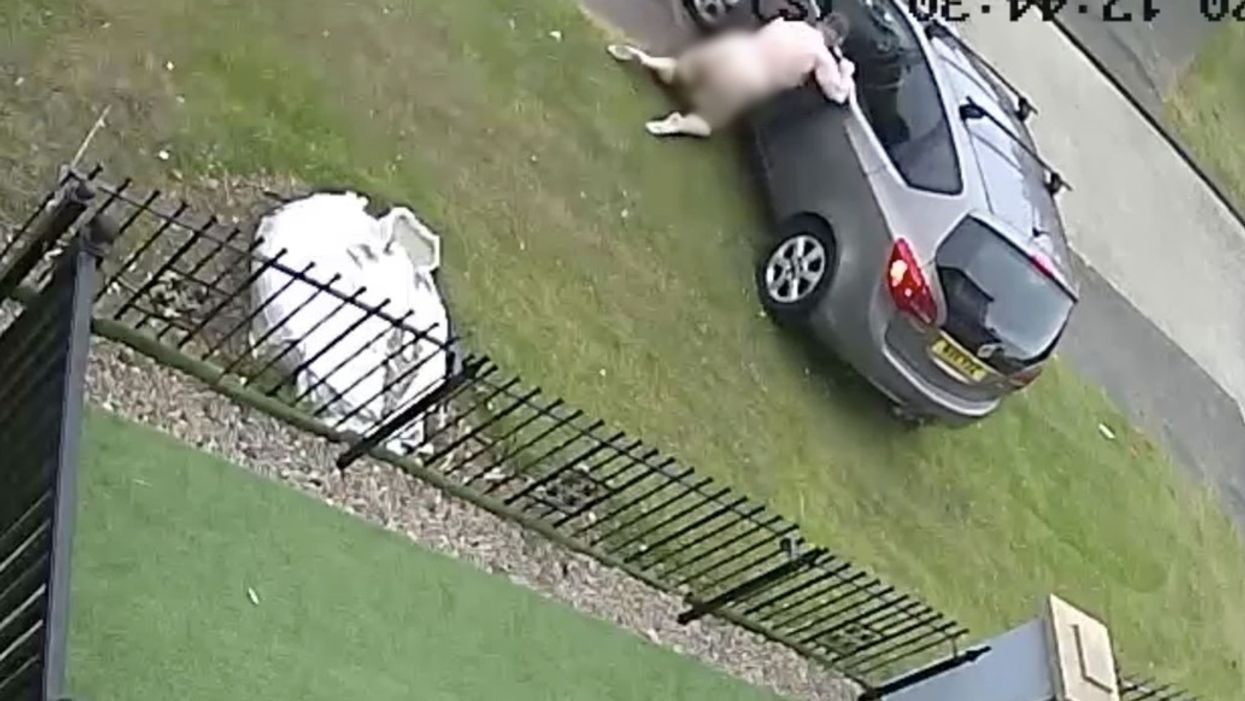 Oops: Would-be hero runs naked through his neighborhood after a car he thought abducted his niece. Turns out she was just around the corner