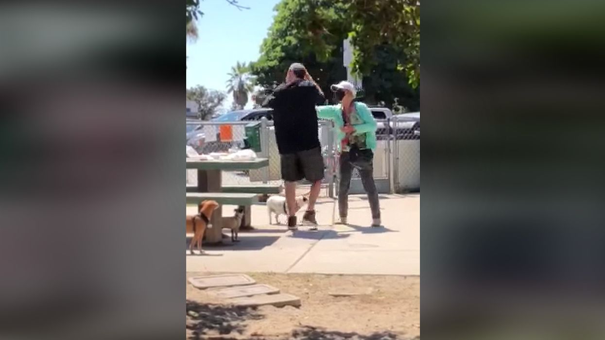 Disturbing video catches the moment irate woman pepper sprays family having a picnic — allegedly because they weren't wearing masks