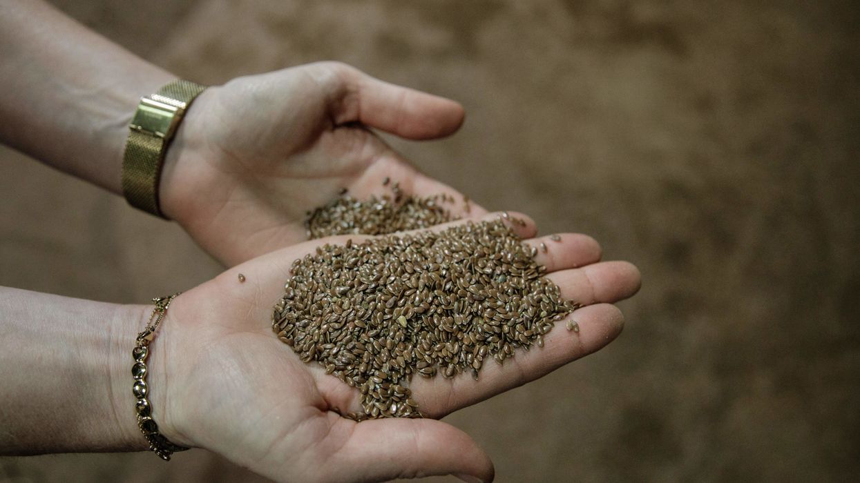 US citizens across the country are receiving mysterious packets of seeds from unknown Chinese mailers: report