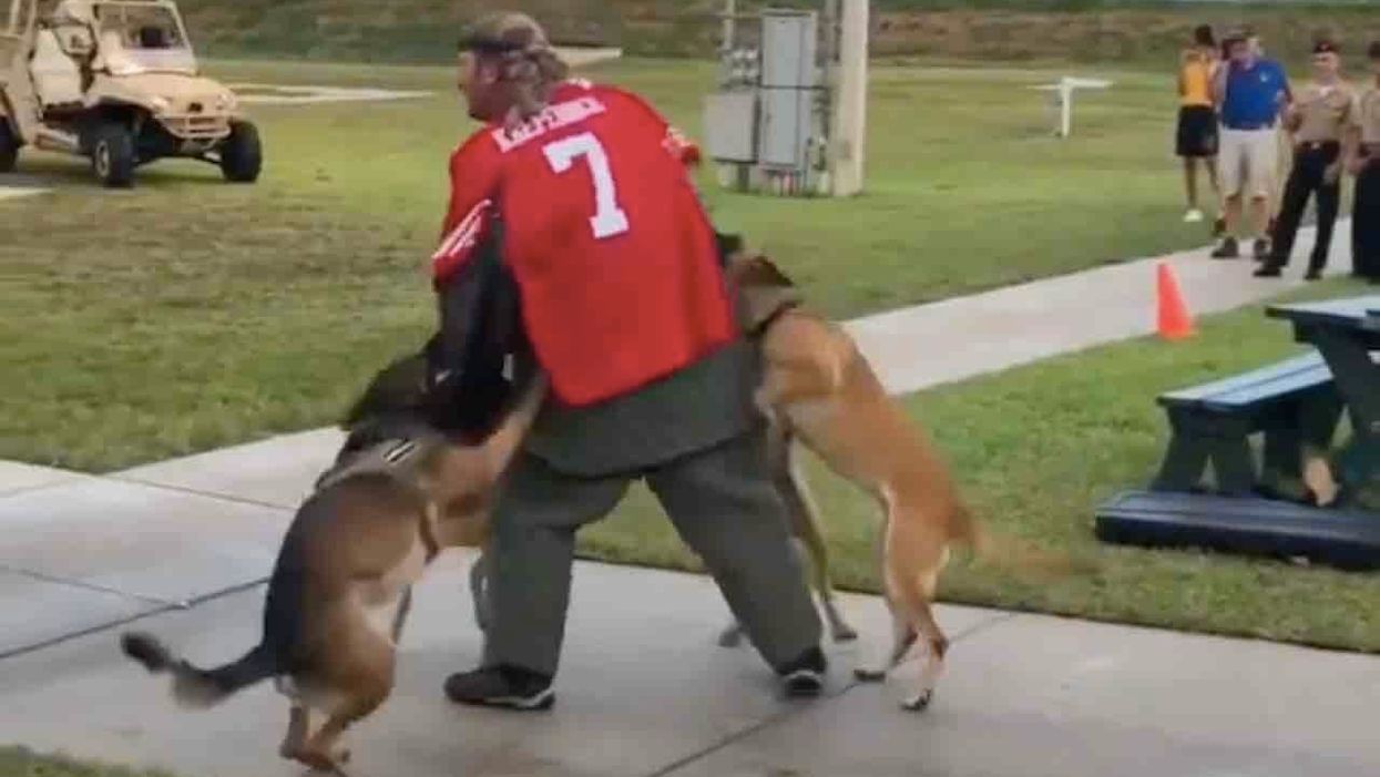 Videos show man in Colin Kaepernick jersey attacked by military working dogs in fundraiser demonstration — and the Navy is investigating