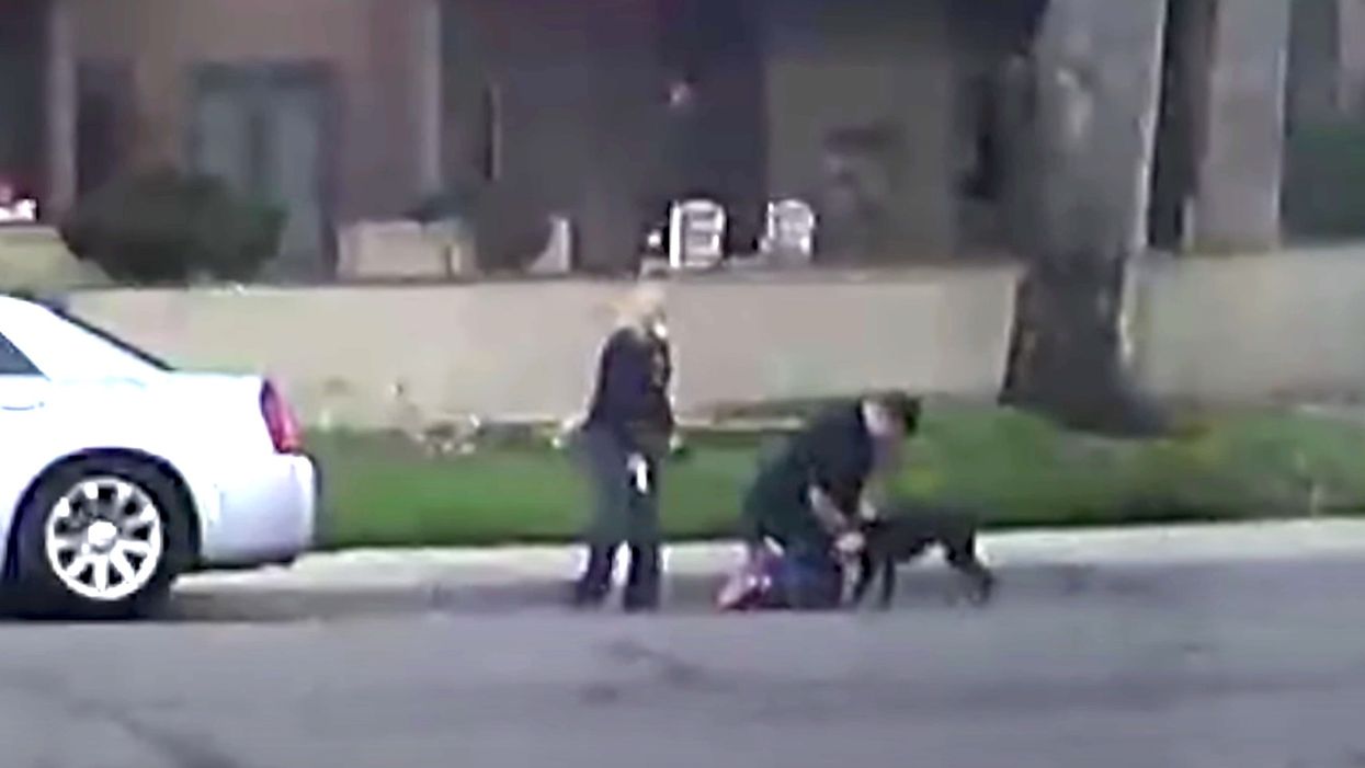 Police are looking for a couple caught on surveillance video shooting and killing a dog in broad daylight