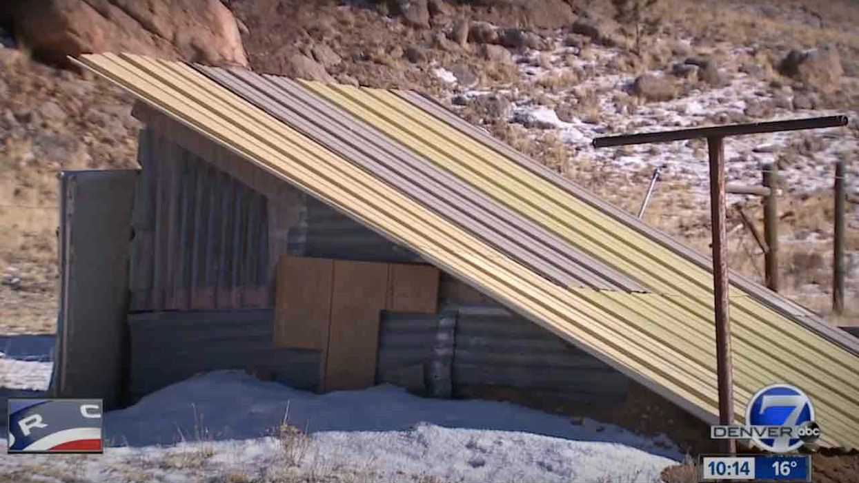 Survival camps to activate, open for members on Nov. 3 over fears of post-election violence