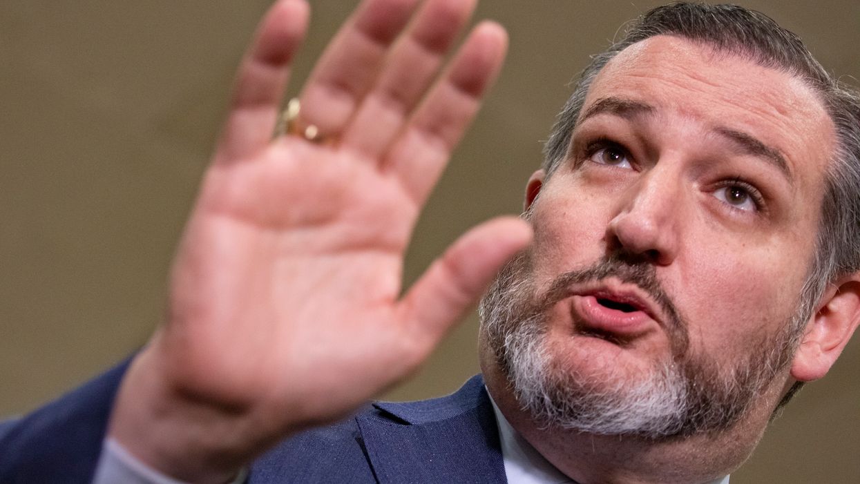 'You shouldn’t tweet false statements': Ted Cruz stomps down reporter's fake news on Amy Coney Barrett hearing