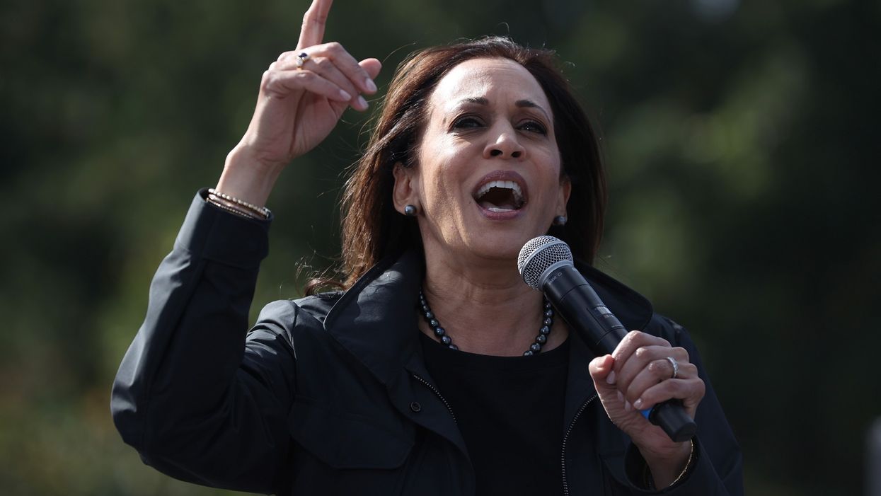Kamala Harris accused of promoting Marxism with video on 'equality vs. equity'