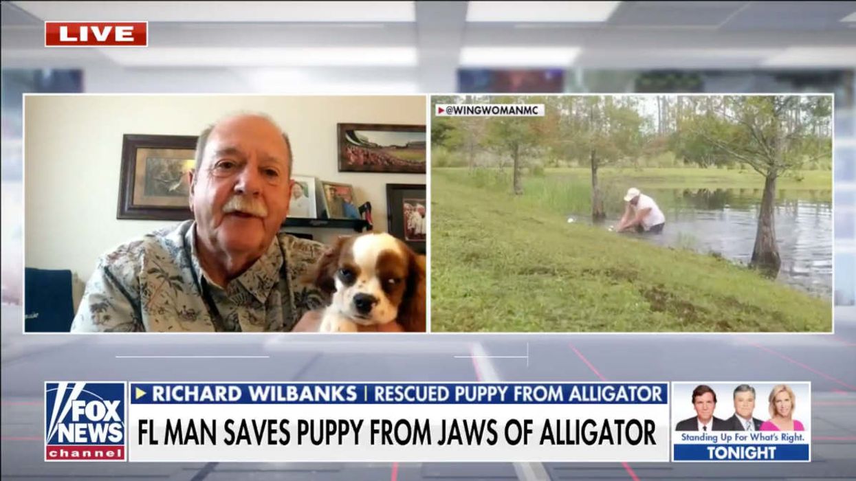 Cigar-smoking Florida hero describes courageously wresting his puppy from jaws of an alligator