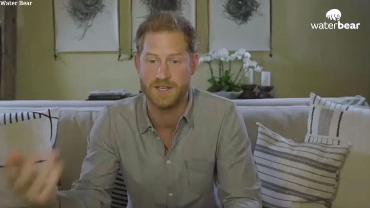 Prince Harry suggests COVID-19 is payback from 'Mother Nature'