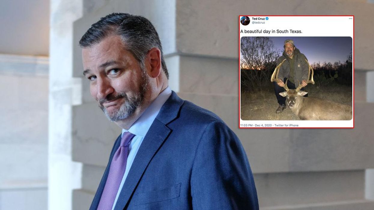 Leftists spew venom at Ted Cruz over photo with deer he hunted: 'You're not a human being'