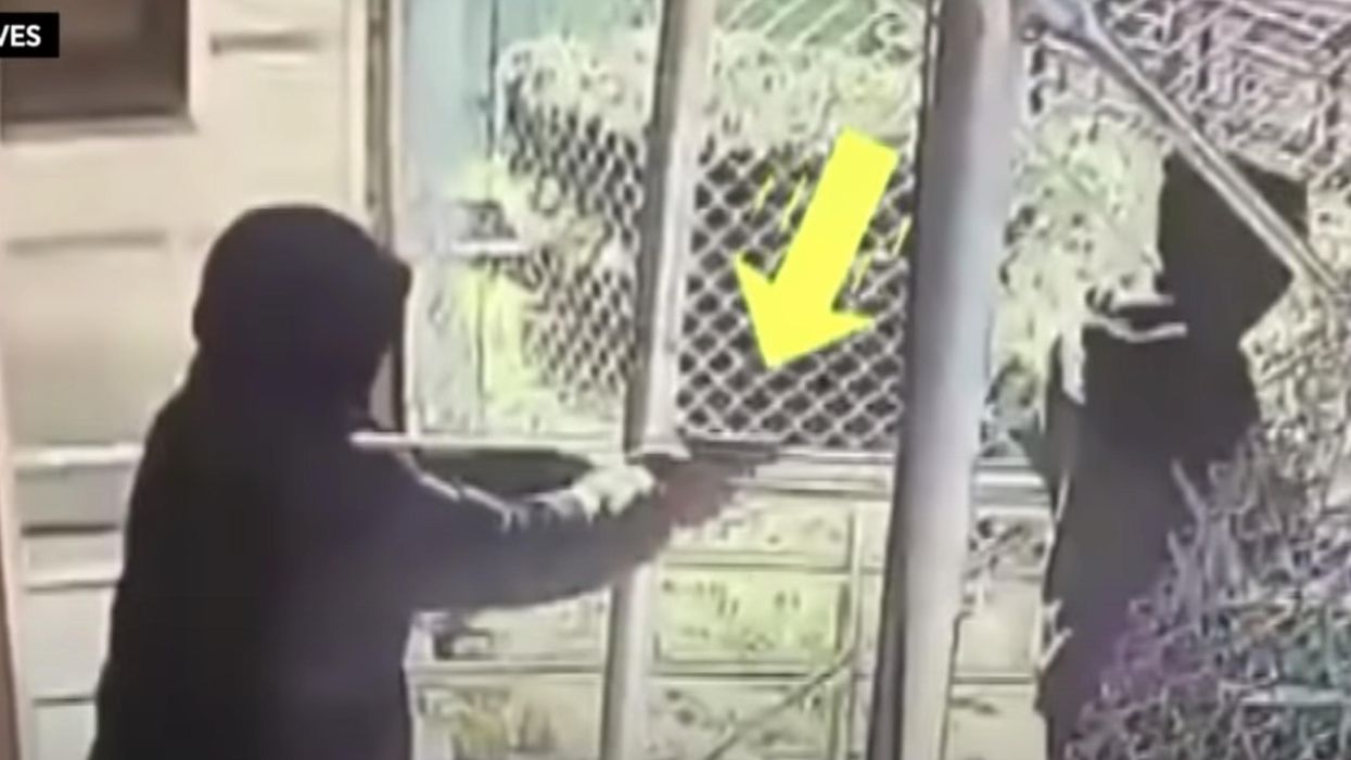 NYPD releases security video of a thug shooting a FedEx driver in the back during a delivery