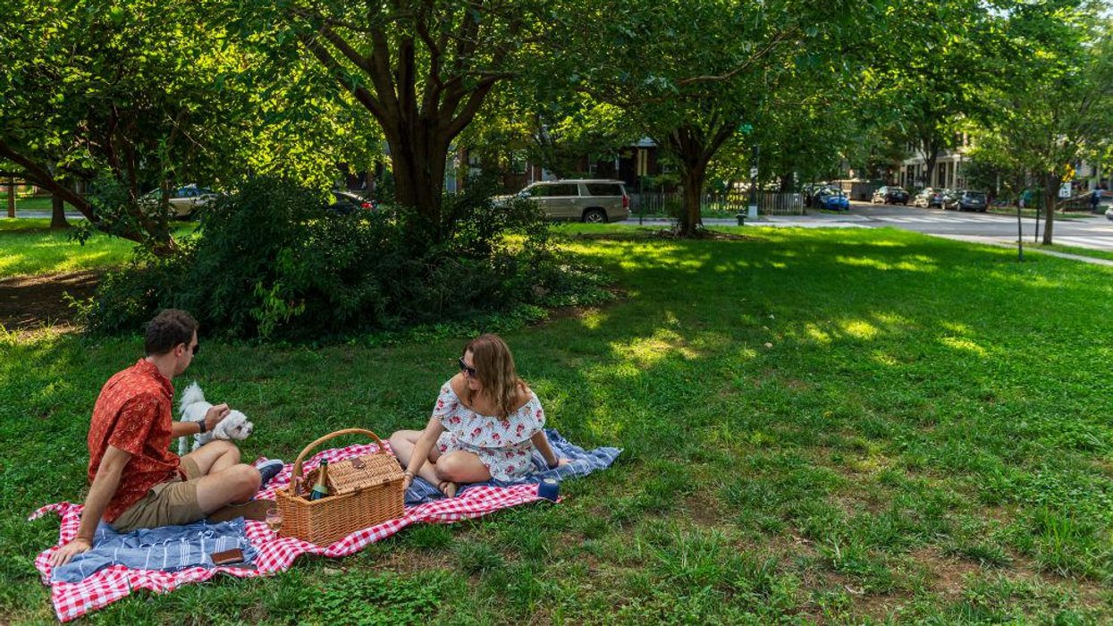 University of Michigan's 'Words Matter Task Force' says the words 'picnic' and 'brown bag' are offensive