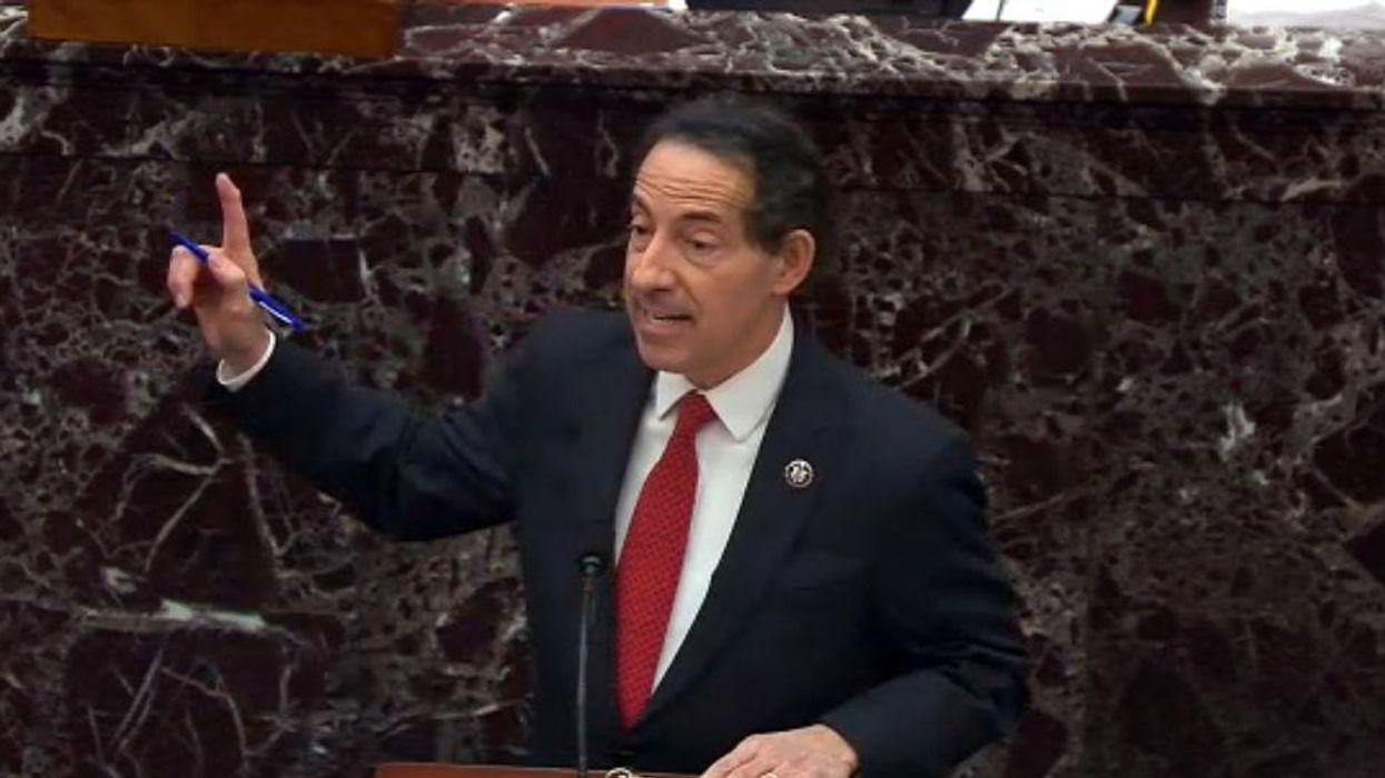 Democrats get torched by their own after caving on calling witnesses during Trump's impeachment trial