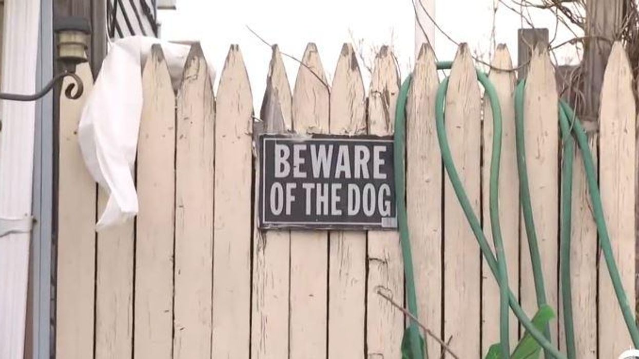 3-year-old boy dead, mother in critical condition after being mauled by neighbor's dogs in New Jersey