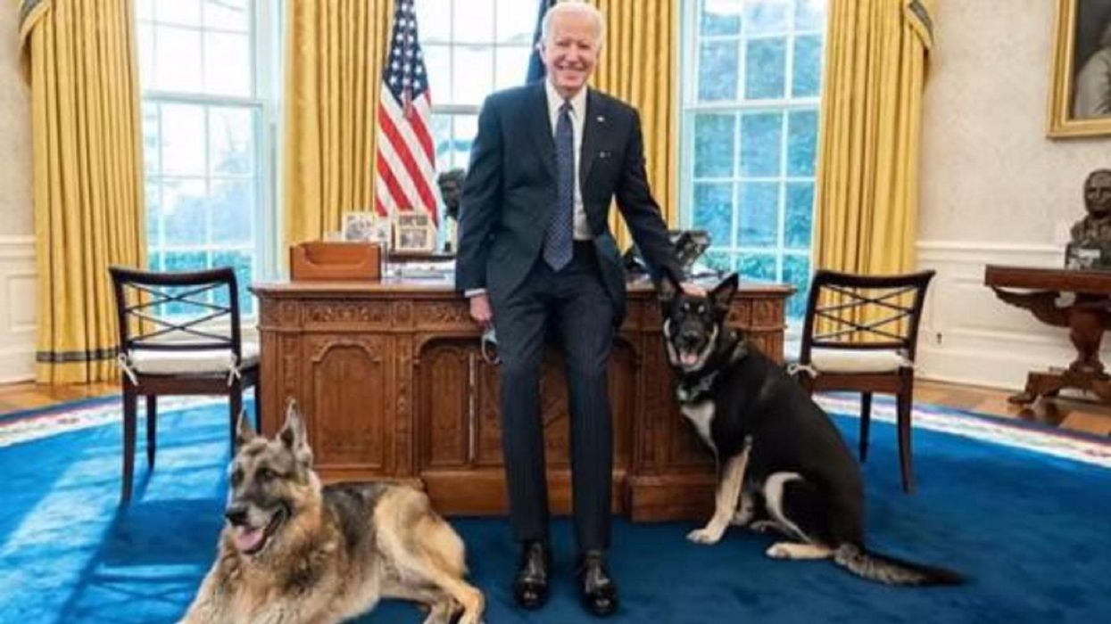 Biden dog bites second victim at White House